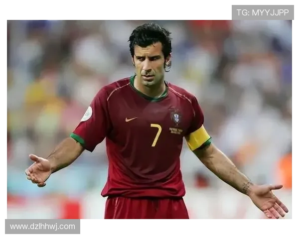 近几十年世界足球巨星精彩表现与成就盘点